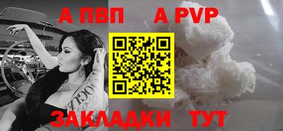 Альфа ПВП Магадан