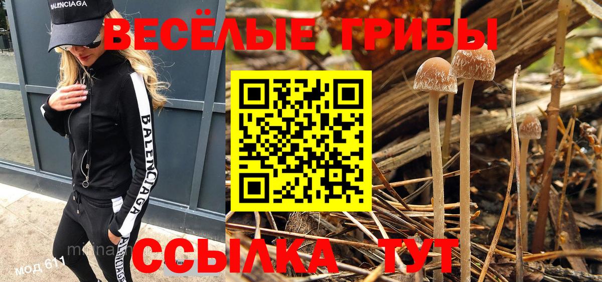 Галлюциногенные грибы MAGIC MUSHROOMS Белореченск