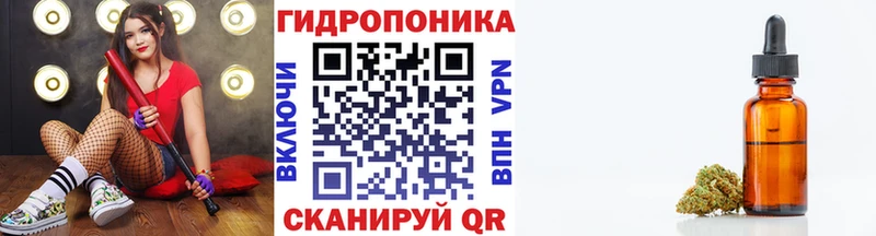 Конопля сатива  Белореченск 
